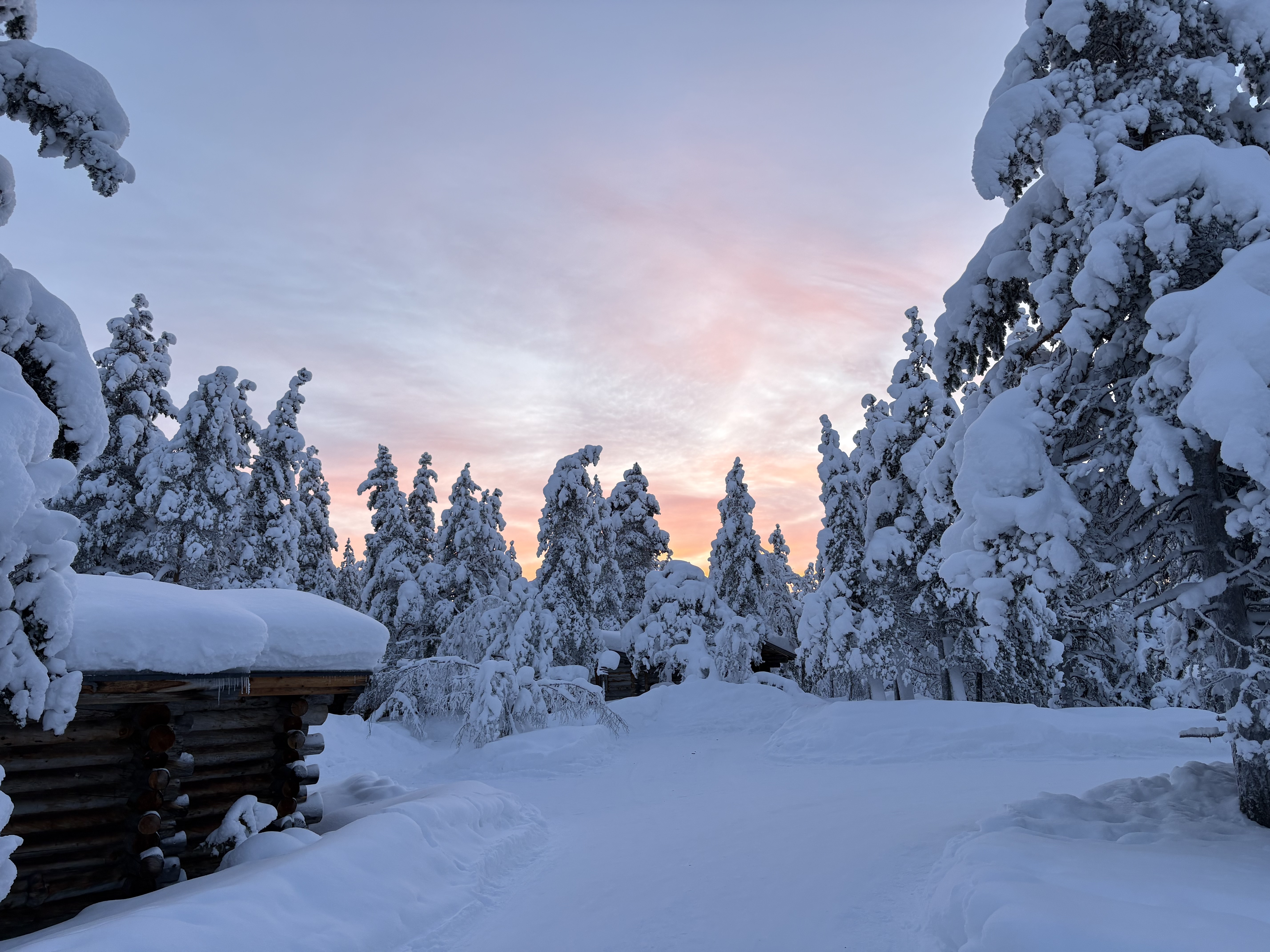 Schneelandschaft mit rosa Himmel
